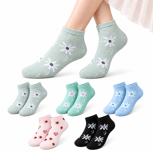 Women's Low Cut Socks – Pack of 5 | Multicolour
